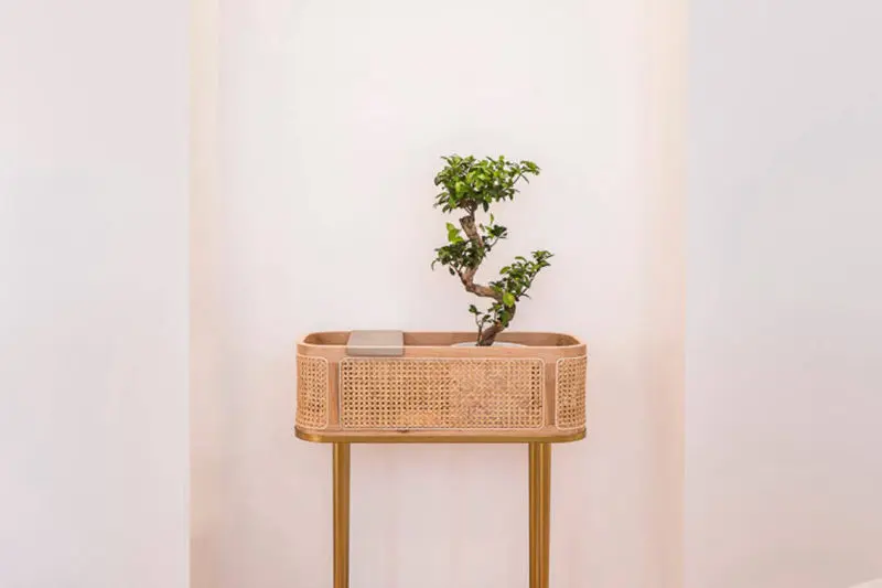 DrSjoelund_Praxis_Impression_2